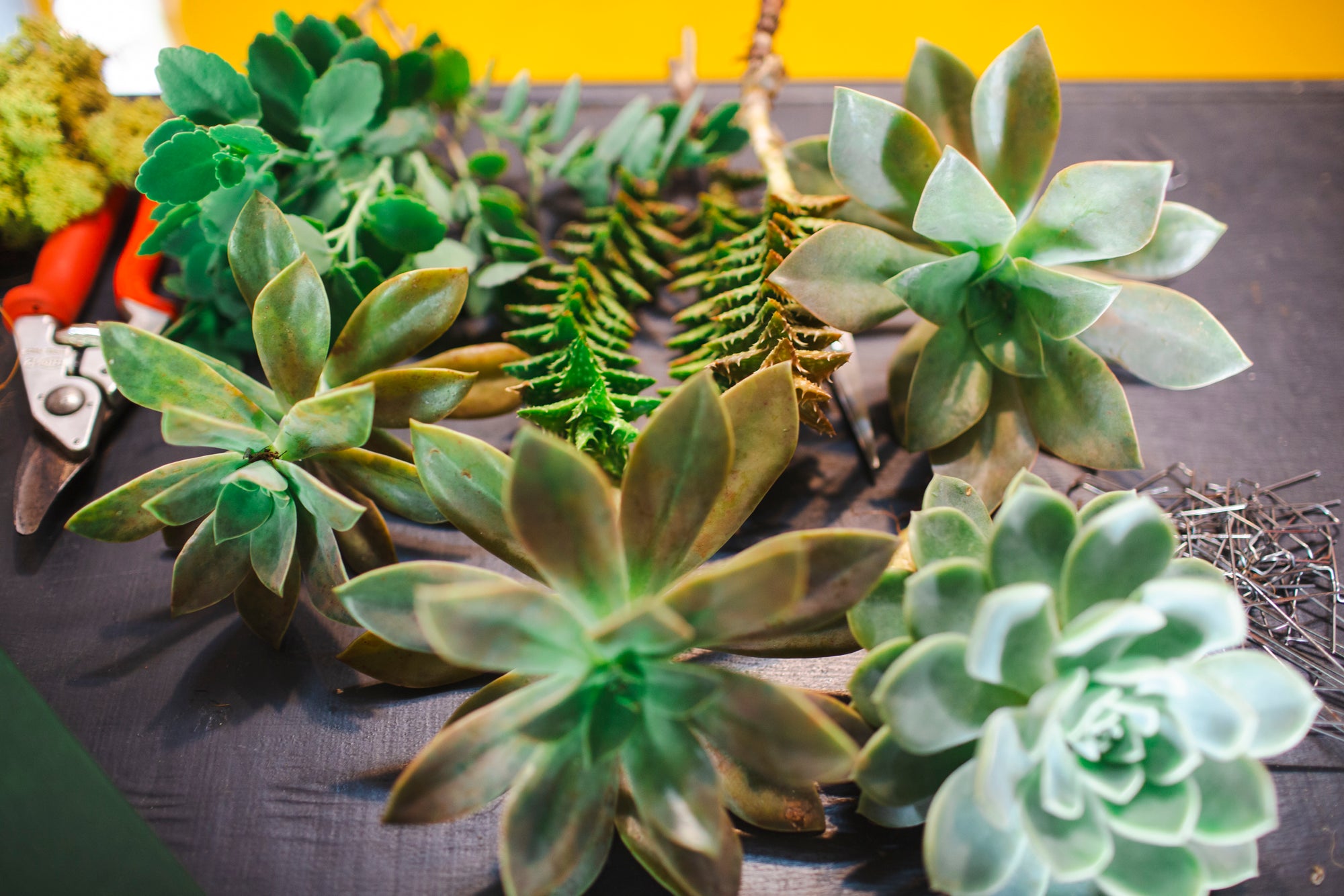 Virtual Christmas Wreath Workshop + Bonus Table Centre Piece Workshop